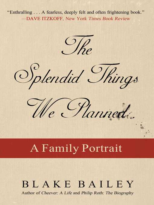 Cover image for The Splendid Things We Planned